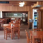 Lesni