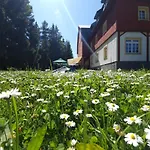 Lesni