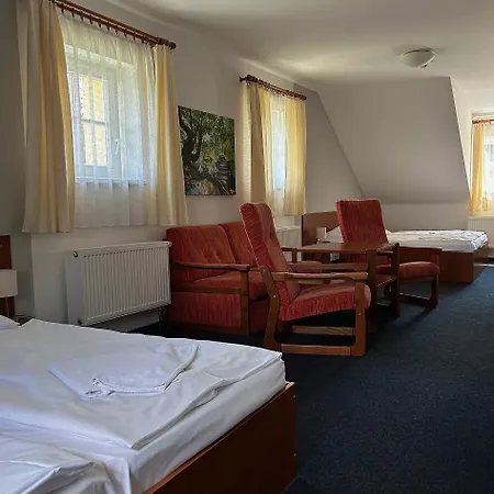 Отель Lesni 3*