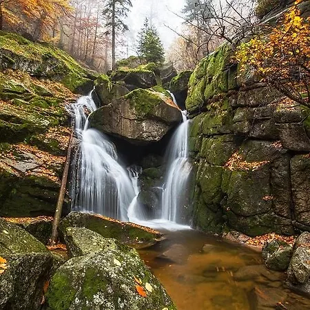 Отель Lesni 3*