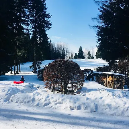 Отель Lesni