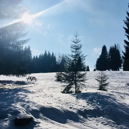 Отель Lesni