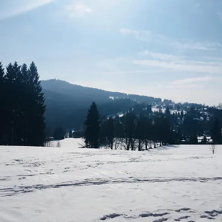 Отель Lesni 3*