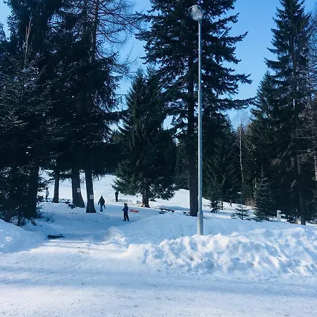 Отель Lesni