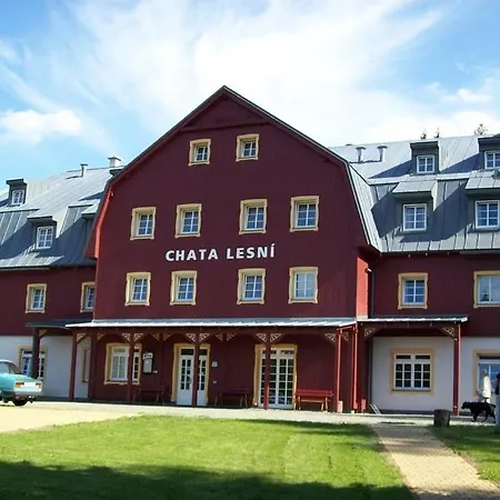 Отель Lesni