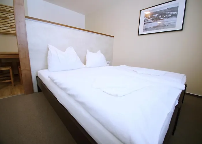 Lesní Hotel 3*
