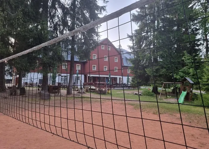 Lesní