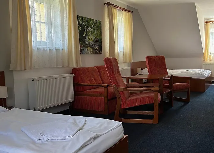 Hotel Lesní 3*