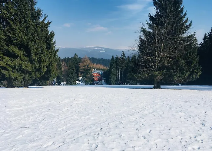 Lesní Kořenov