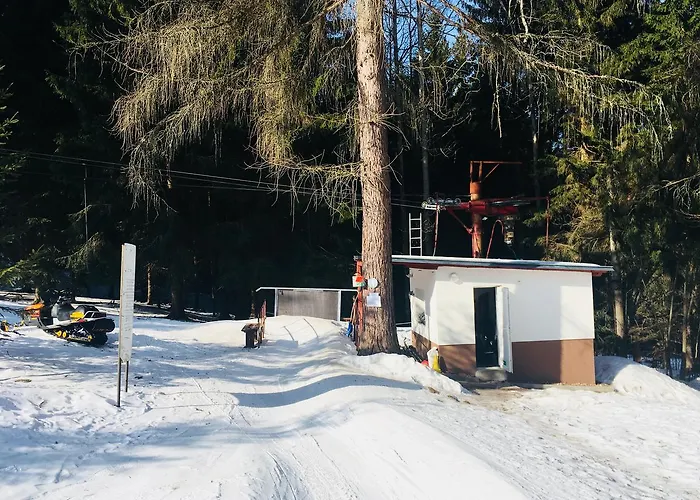 Hotel Lesni Kořenov